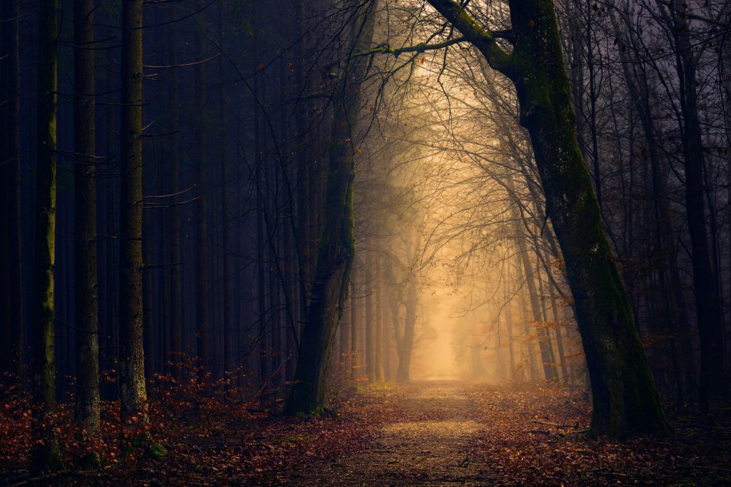 Urkraft  - der WEg dahin